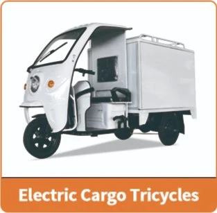 Jinpeng Ql150e EEC-Coc Europe Sudan 2200W Three-Wheel Electric Tricycle