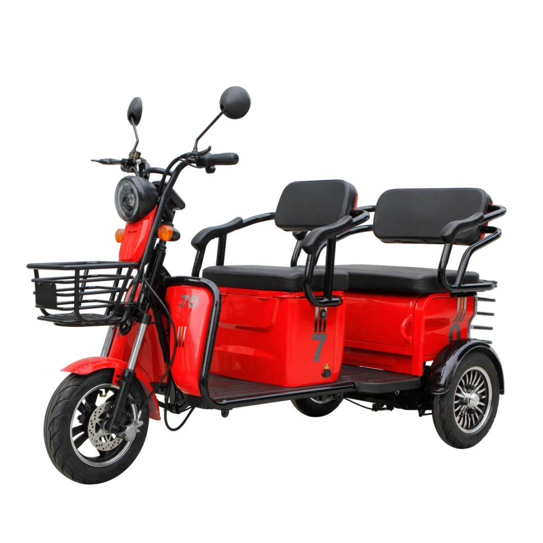 Saige Passage City Leisure Electric Trike Adult EEC E-Trike