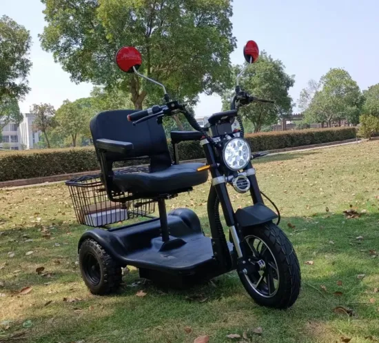 Novidade 500W-750W City Coco Trike Três Rodas Triciclos Elétricos Scooter