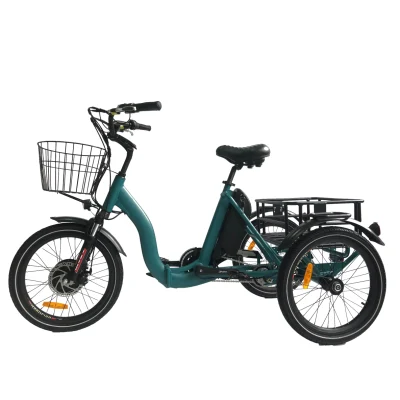 Venda imperdível City Electric Trike Dobrável 3 Rodas Cargo Bike 36V/48V Bateria de Lítio Triciclo Elétrico Adultos Estrada Pequeno Pneu E Trike