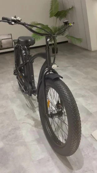 Bicicleta elétrica de pneu gordo China 750 W para homem com suspensão total