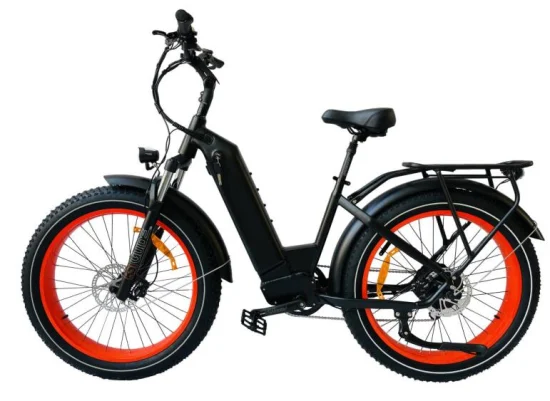 Queene Good Quality 1000 W MID Drive E Bike E-Bike Full Suspension Fat Tire Mountain Electric Bike