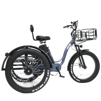 Conveniente City Drive Multicolorido Commuting Hot Sale 48V 800W Bafang Rear Hub Motor Rear Front Baskets Electric Trike