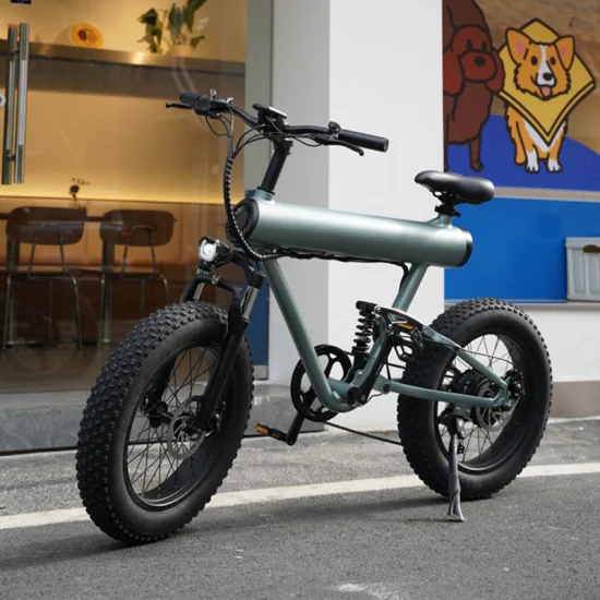 Ebike de pneu gordo com novo design do fabricante com 10ah 48V 500W E-Bike