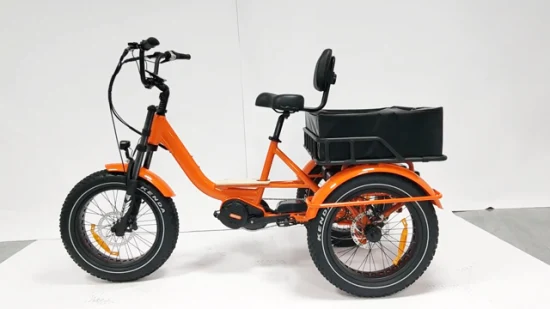 Cargo MID Motor High Power E Trike 3 Rodas Triciclo Elétrico Adulto Personalizado