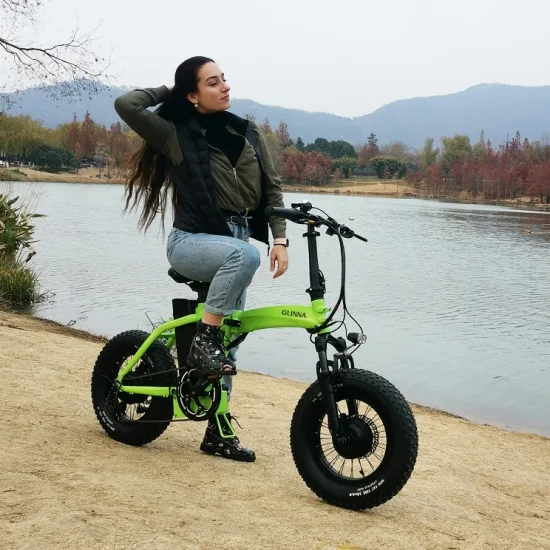 Pneu Ebike 19