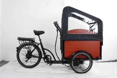 Melhor motor sem escova Bafang 500 W Etrike com galpão à prova de chuva 2 lugares para uso familiar bicicleta elétrica triciclo elétrico