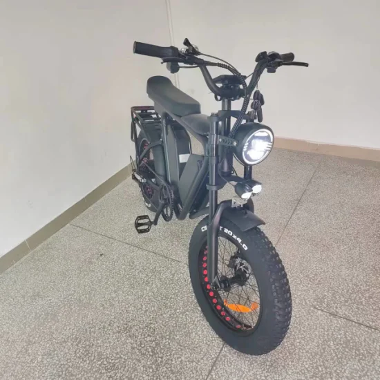 E Bike1000W Motor Bateria Dupla 48V/22ah*2 Freio a Óleo Suspensão Total 55kmh Fast Electric Fat Bike