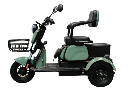 Nova chegada scooter adulto lazer 3 rodas cidade elétrica triciclo carga pneu gordo liga de alumínio adulto trike elétrico com cesta dianteira e traseira